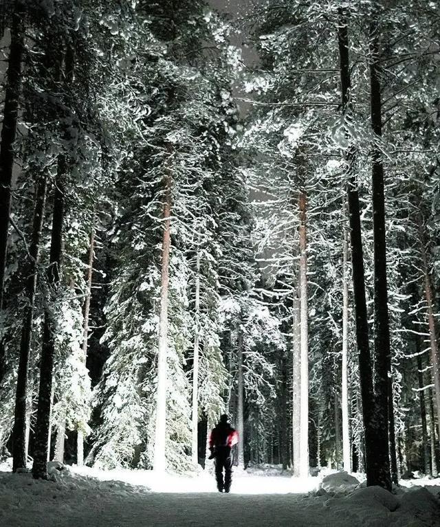 一支手电筒卖出80亿浙江小镇成为“全球之王”(图6)